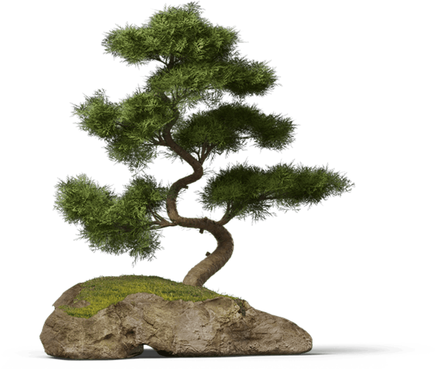 SectionWP Login Vector