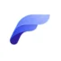 FlyingPress