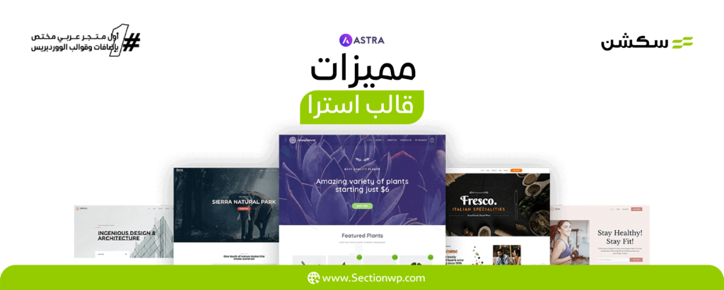قالب أسترا: ما هي ميزاته ال10 وكيف يتوافق مع أدوات التصميم المختلفة؟ 6 قالب أسترا