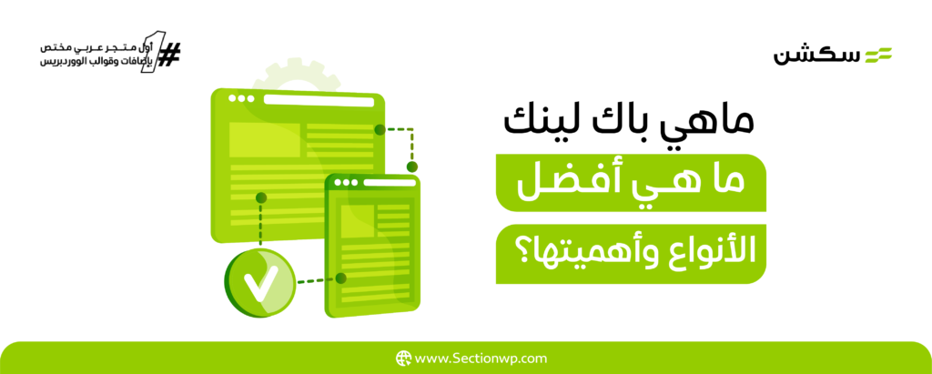 أفضل باك لينك: ما هي أفضل الأنواع وأهميتها؟ 12 أفضل باك لينك