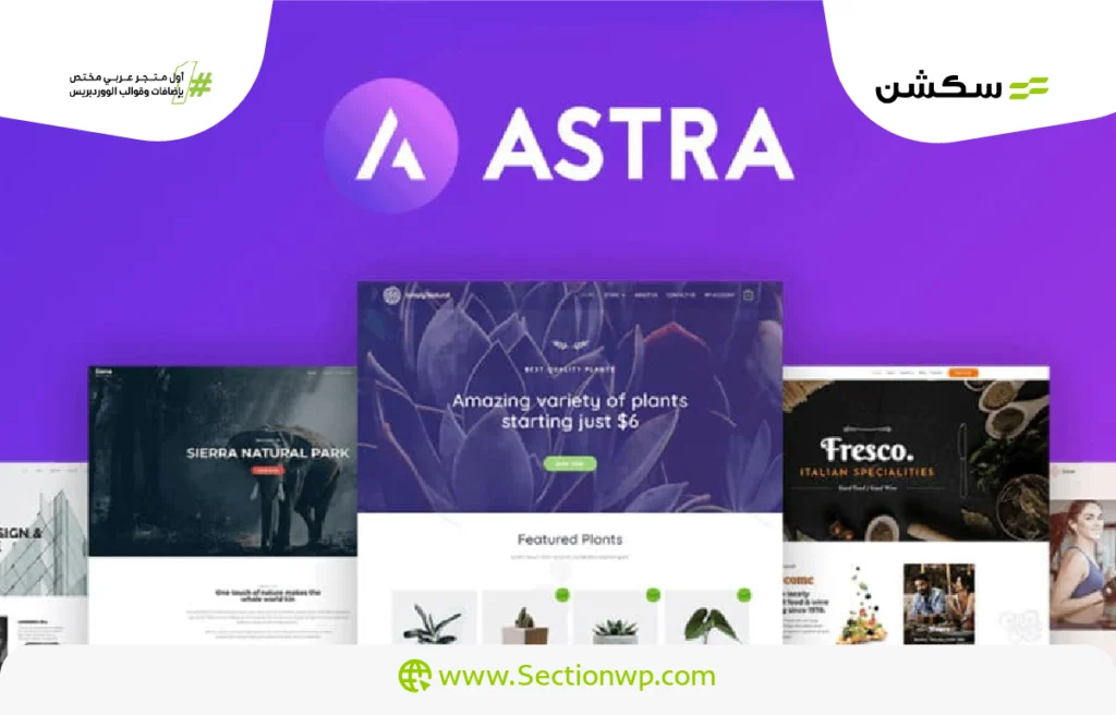 أسرع قوالب ووردبريس قالب  Astra