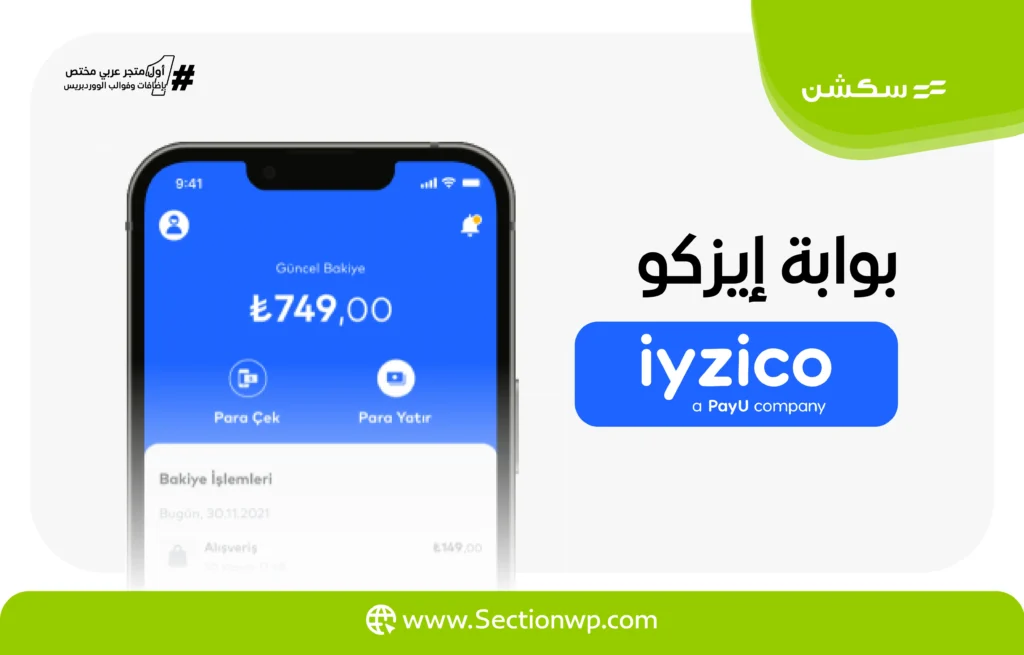 بوابات الدفع الإلكترونية في تركيا