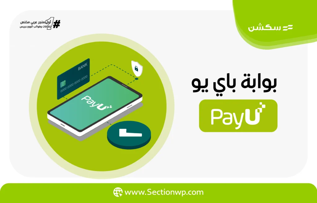 بوابات الدفع الإلكترونية في تركيا