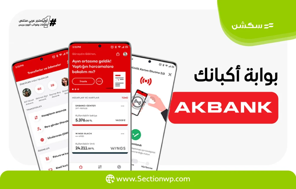 بوابات الدفع الإلكترونية في تركيا