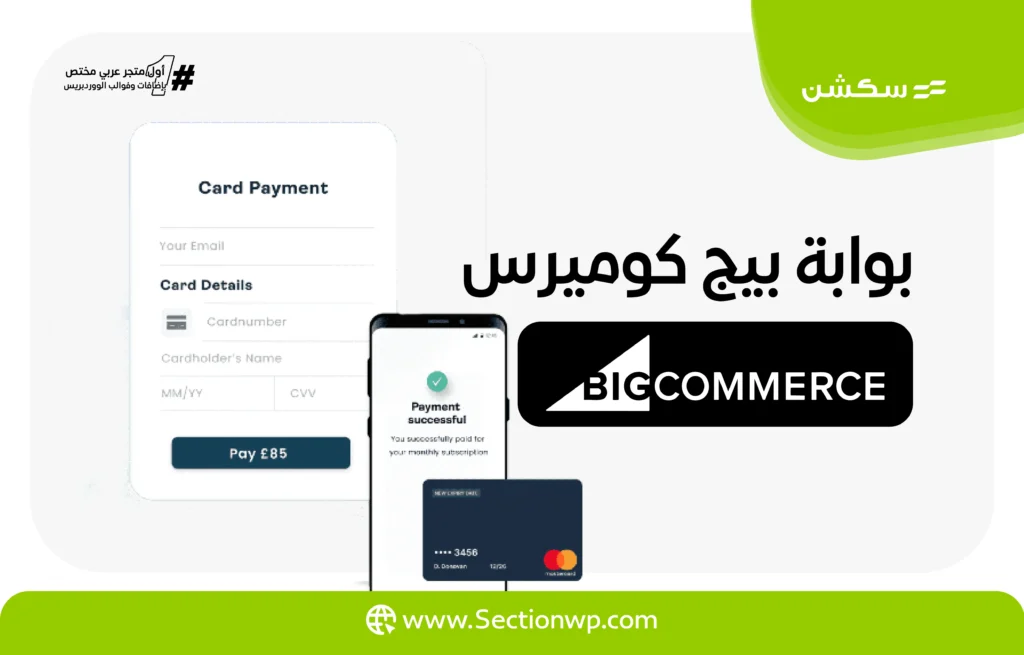 بوابات الدفع الإلكترونية في تركيا