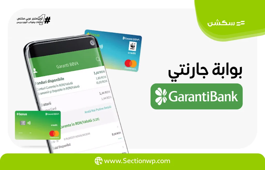 بوابات الدفع الإلكترونية في تركيا