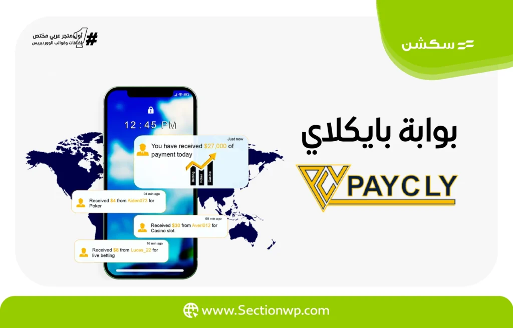 بوابات الدفع الإلكترونية في تركيا