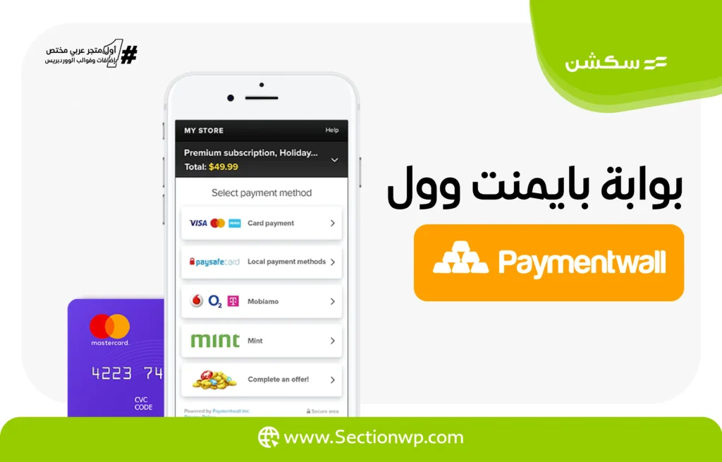 بوابات الدفع الإلكترونية في تركيا